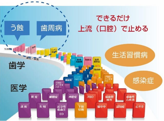 慶応大学医学部 伊藤裕先生 疾患進行ドミノ